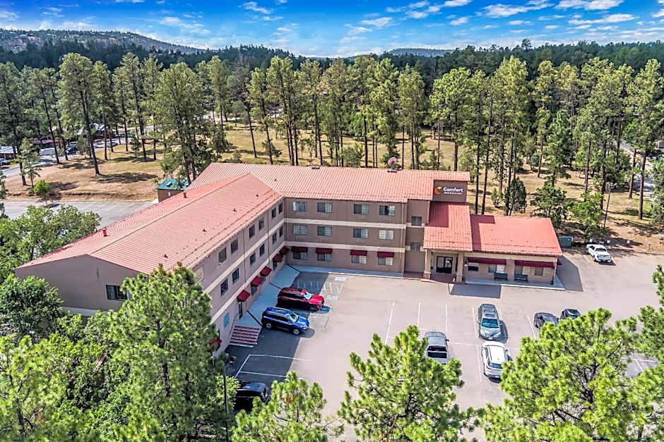 Comfort Inn & Suites Midtown