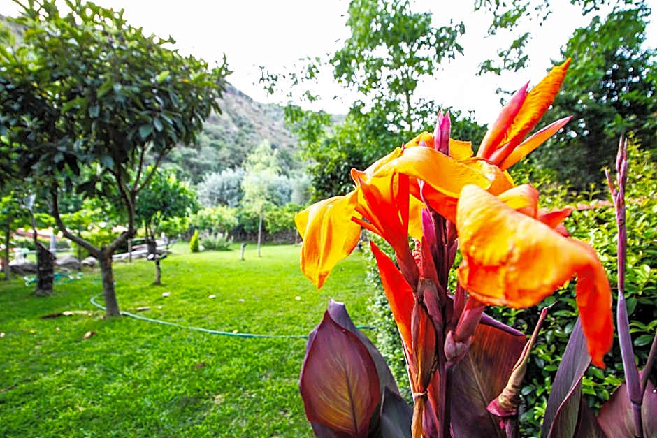 Le Muse Country House - Gole Alcantara