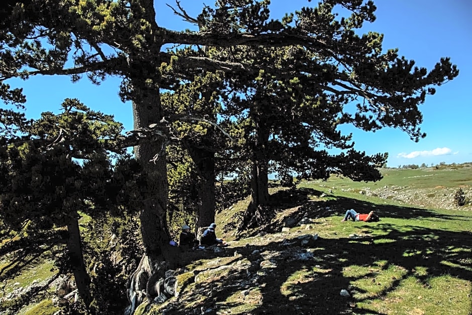 Tana Libera Tutti 1 Nature, Yourself, Love