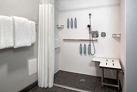 Room, 1 King Bed with Sofa bed (Mobility/Hearing Access, Roll-in Shwr)