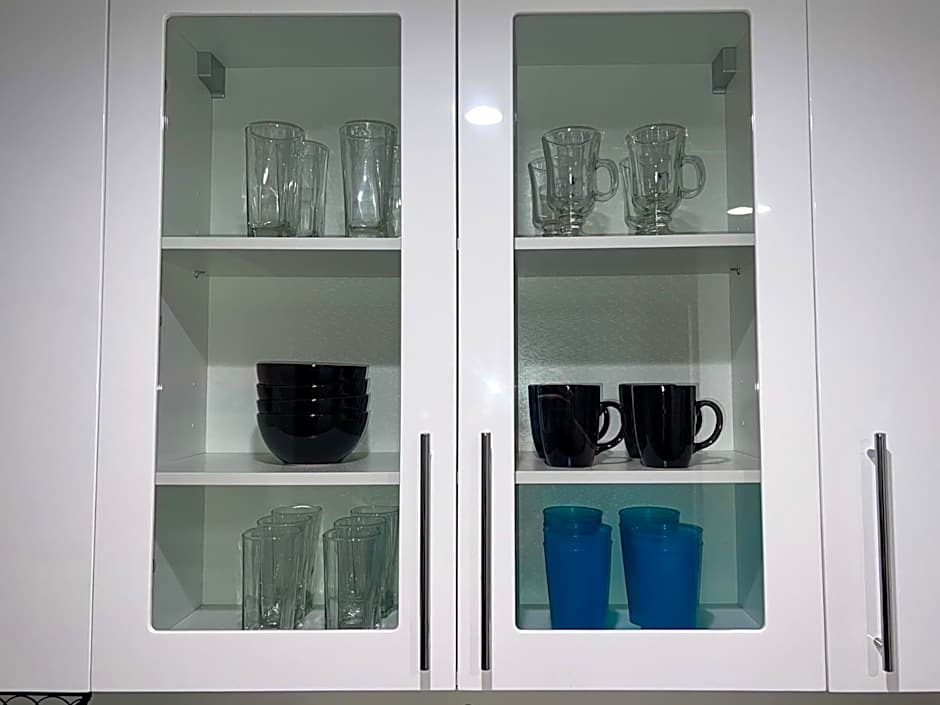 Downtown Los Angeles Skyline balcony view Modern Penthouse