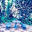 Belmont Guesthouse