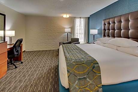 Deluxe King Room, Oversize