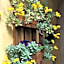 B&B Vicenza San Rocco