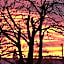 Hartley Homestead Boutique Bed & Breakfast
