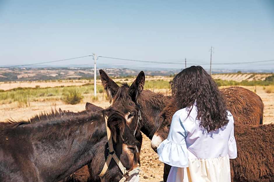 Hotel Rural Sra De Pereiras