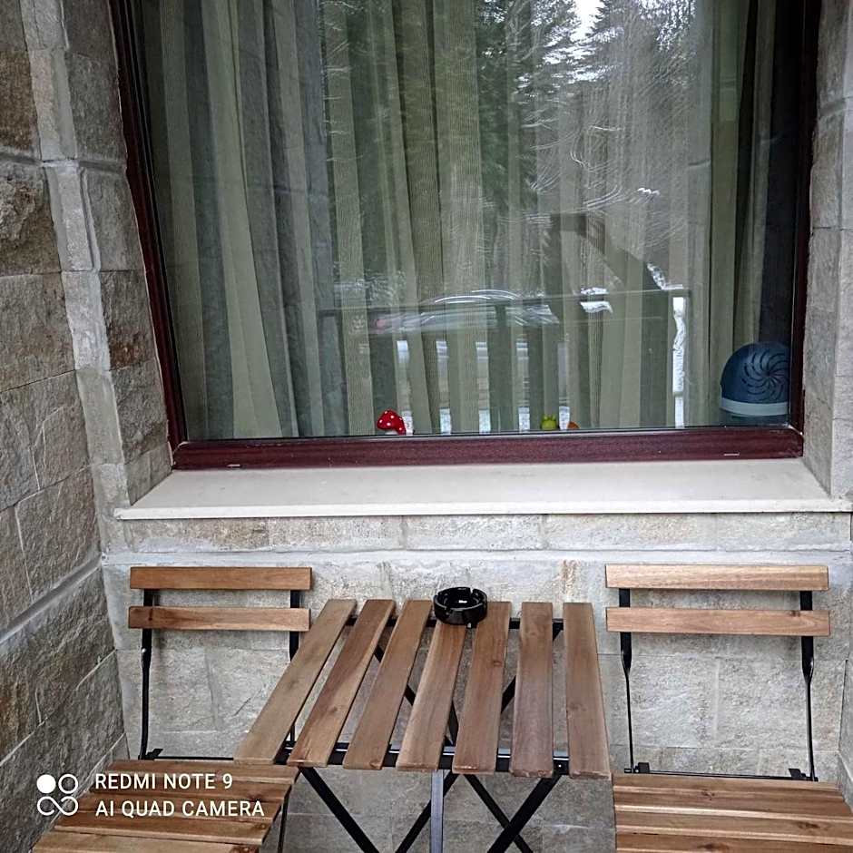 Borovets Gardens Studio Raya