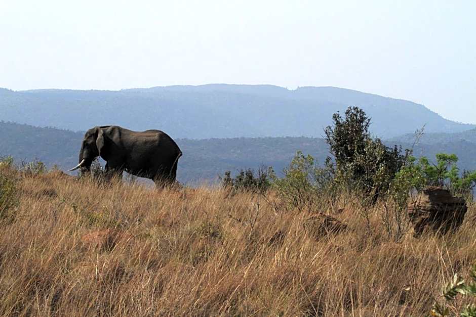 Inzalo Safari Lodge