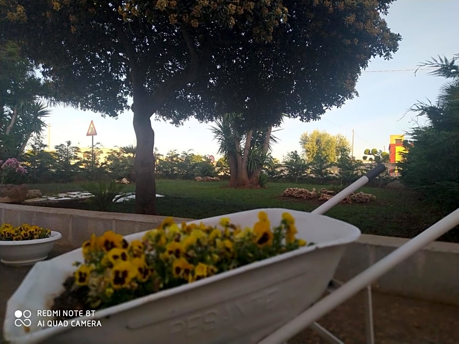 Dimora dei nonni 199