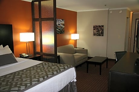 SUITE-1 KING BED,NSMK,NO PETS,JACUZ,MICR RFRG,COFMKR,FULL BREAKFAST