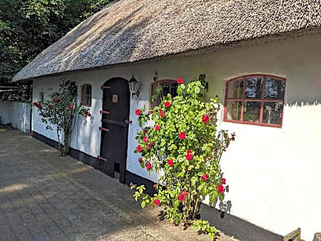 Gemütliches Reetdachhaus mit Kaminofen