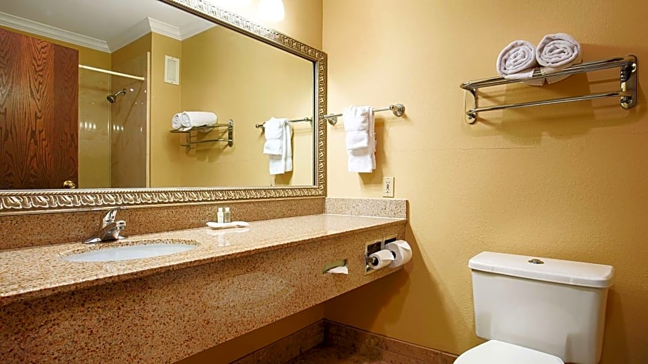 Best Western Plus Southpark Inn & Suites