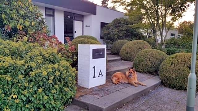 B&B Eikendreef