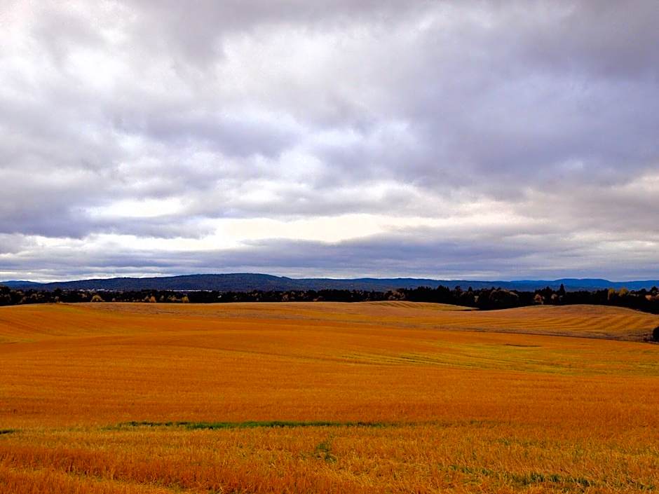 Bedder At Oslo Airport