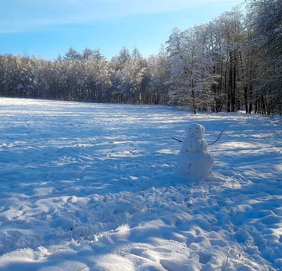 Fox House Tisá / Rájec