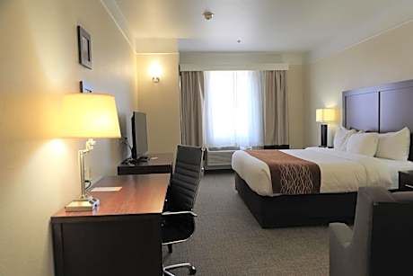 King Room - Accessible/Non-Smoking