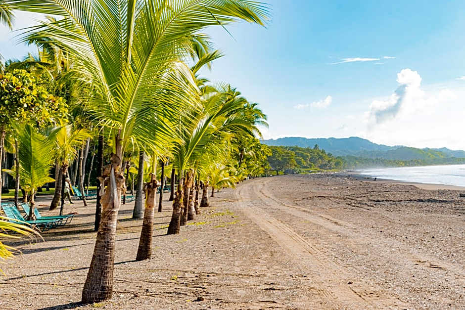 Barcelo Tambor- All Inclusive