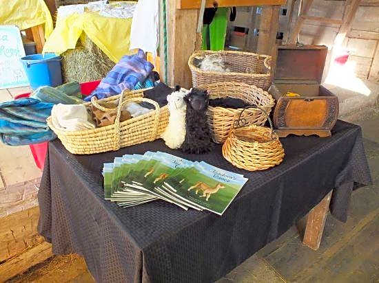 Montrose Farms Alpaca Ranch