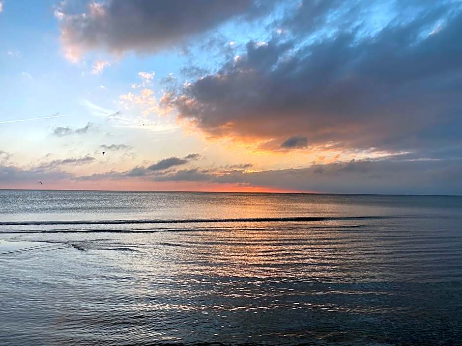 Ferienwohnung Silbermöwe