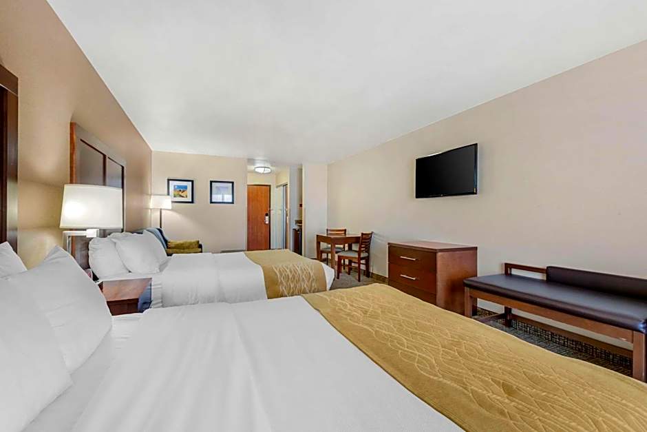 Comfort Inn & Suites Mitchell I-90