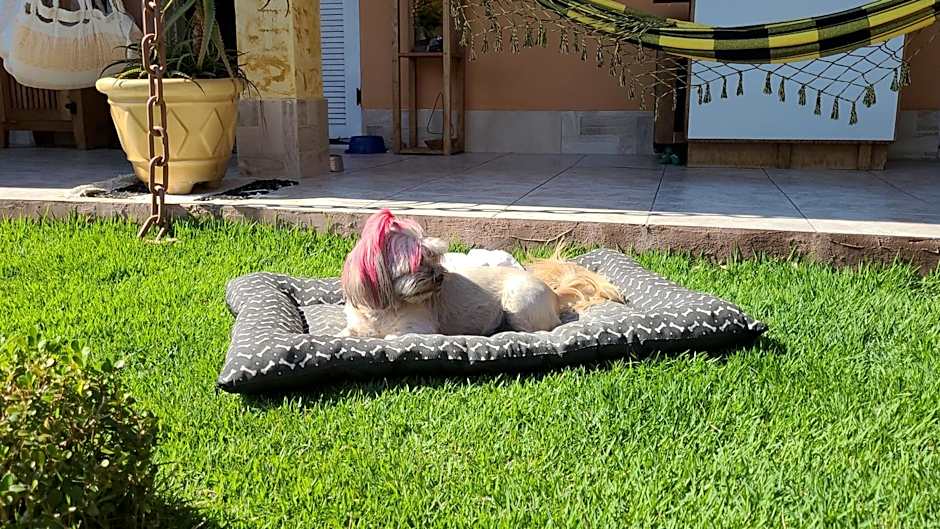 Pousada e SPA Shiva São Sebastião 200mts da praia