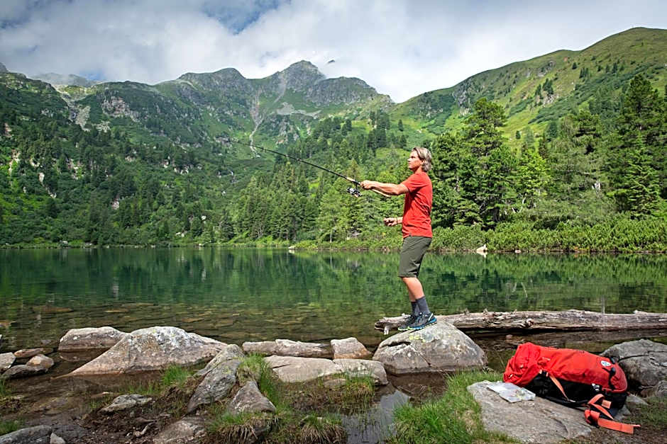 Alpenhotel & Aparthotel Lanz