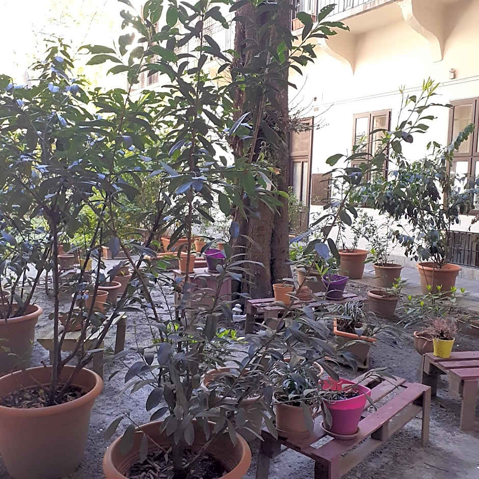 Amber Gardenview Studios Downtown