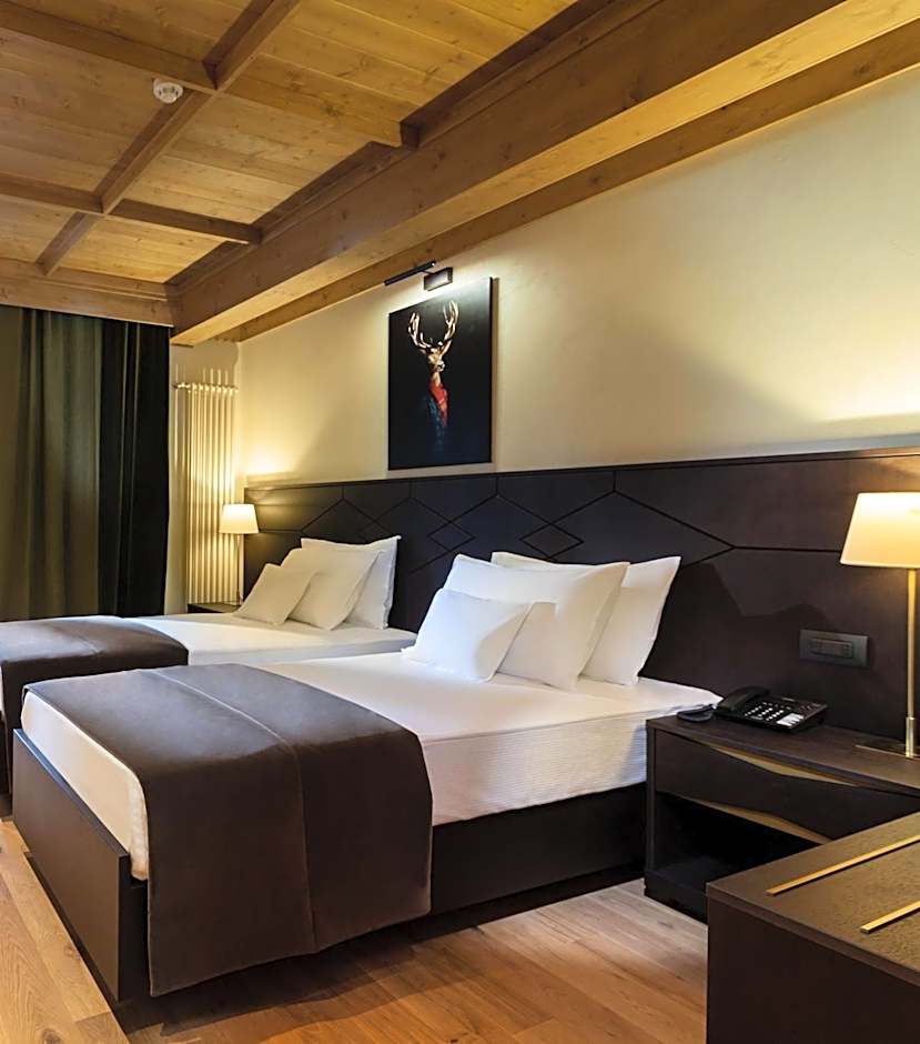 Ana Hotels Bradul Poiana Brasov