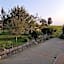 Allgau Meadow Ranch