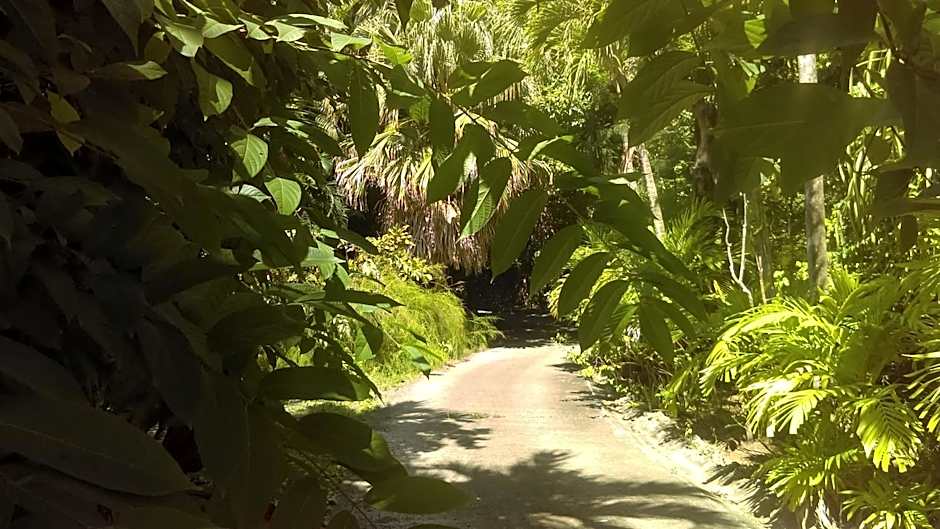 Résidence Les MANGUIERS OTANTIK