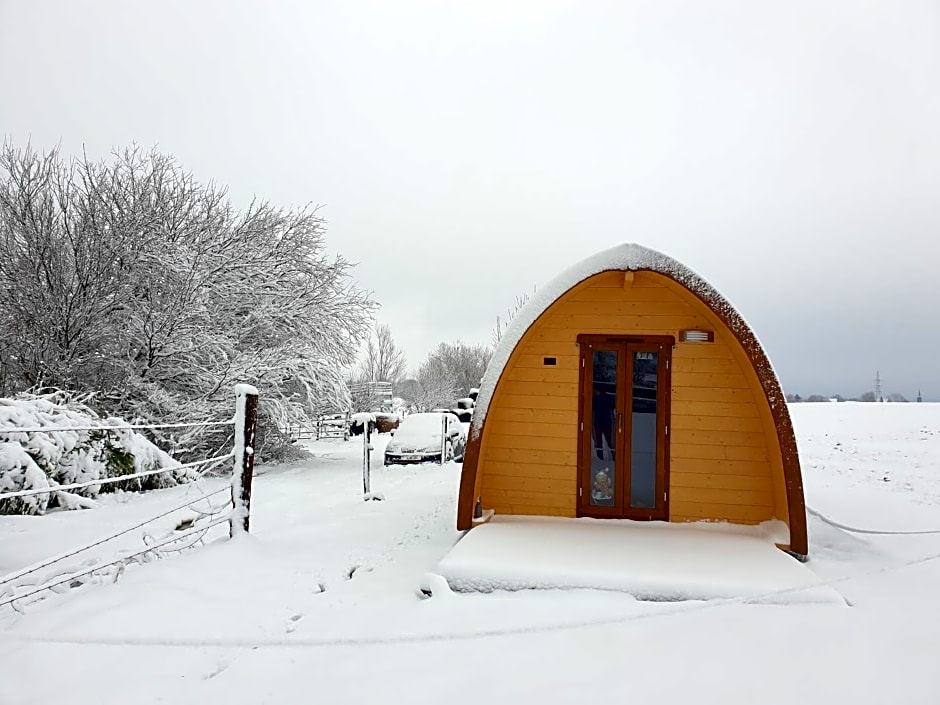 B&B La ferme du Château de Broich