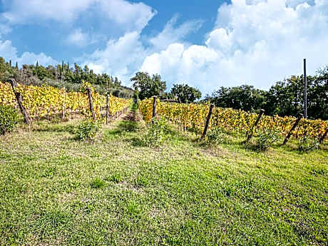 Villa in Tuscany with Private Pool