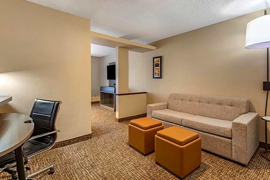 Comfort Inn & Suites North Dallas-Addison