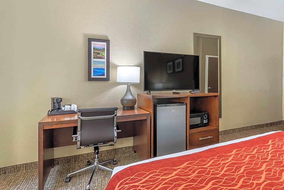 Comfort Inn South Kingsport