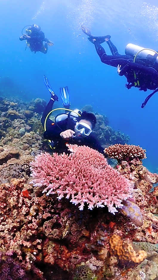 PamAnilao and Padoy's Dive Camp