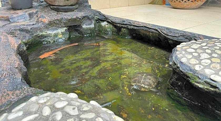 Hotel Priangan Cirebon 