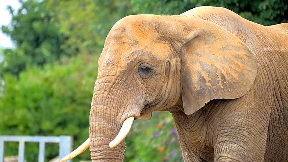 Holiday Inn Colchester By IHG