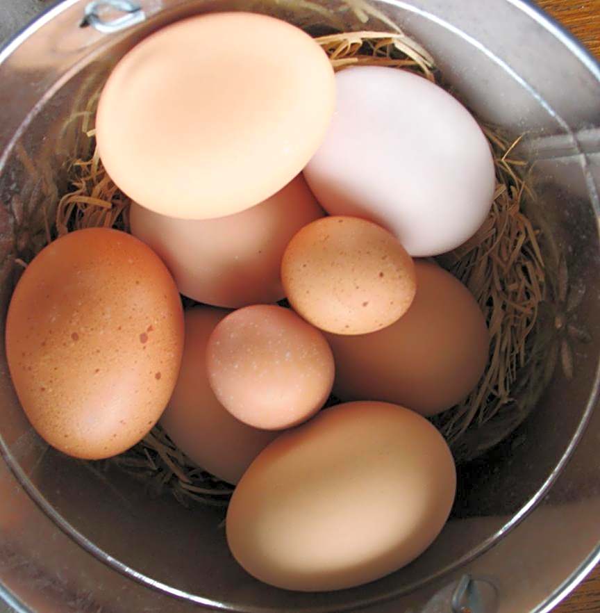 Riverboat Bed & Breakfast