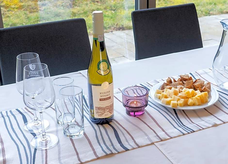 Hotel Vinice Hnanice