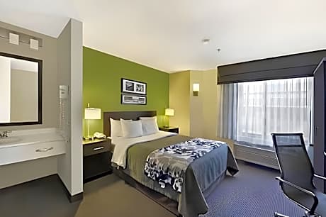 1 Queen Bed Non-Smoking  NQ1