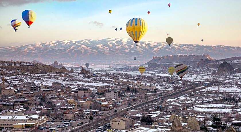 Antique Terrace Suites