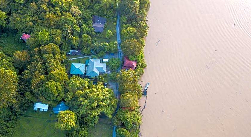 Sukau Greenview Bed and Breakfast