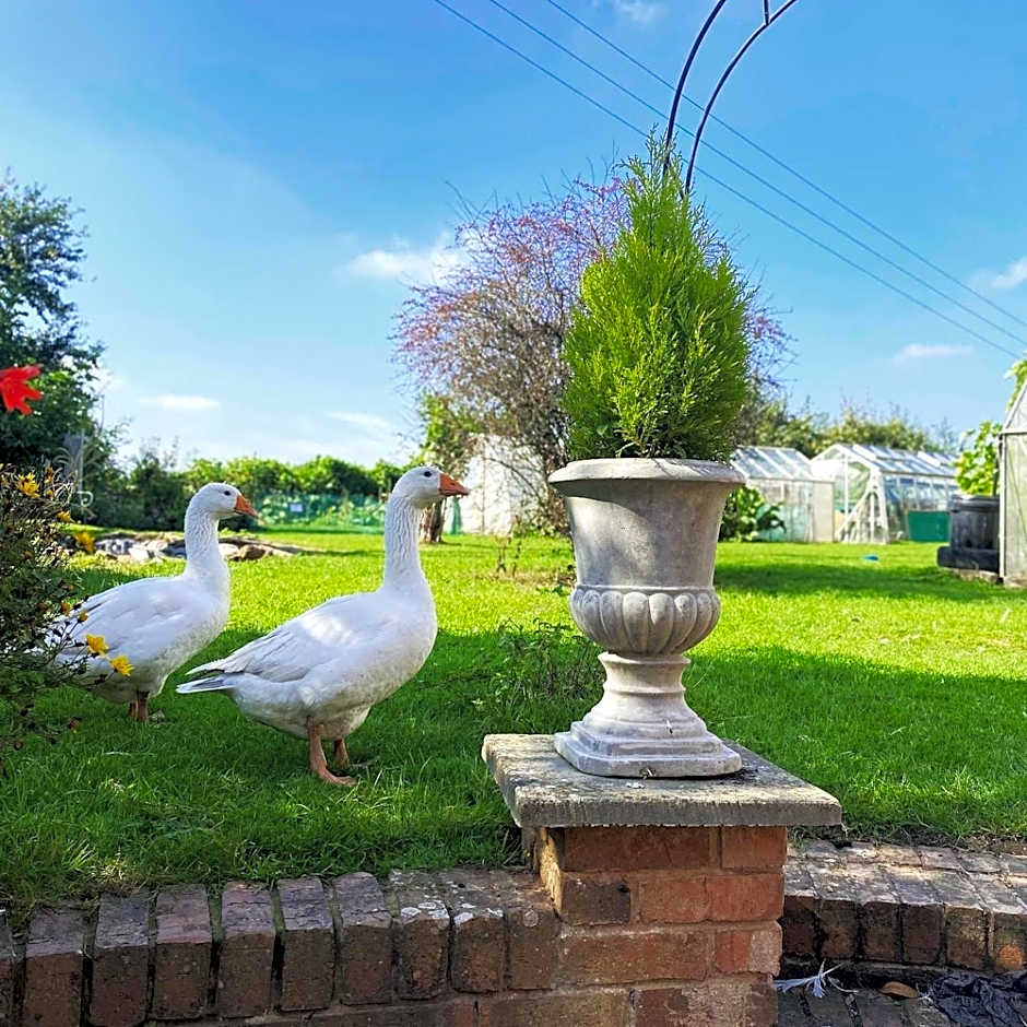 The Talbot at Knightwick