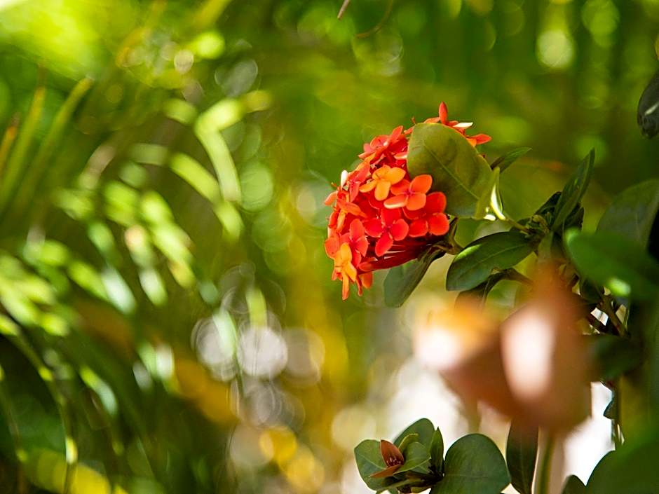 BreakFree Peninsula Surfers Paradise