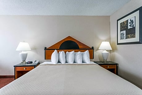 1 Queen Bed Smoking Room With Free