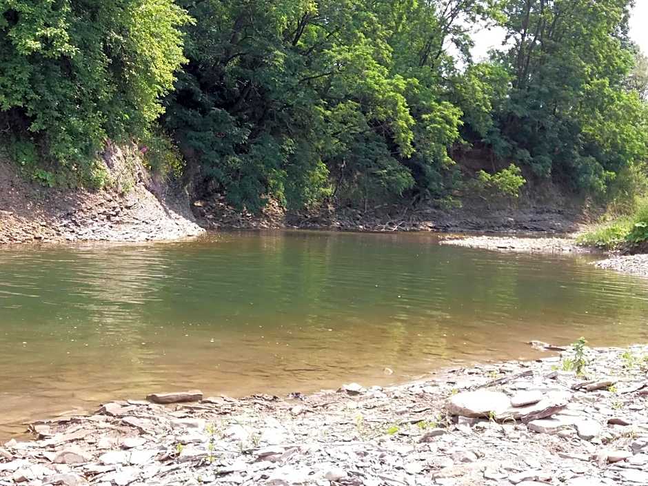 Domki w Smolniku z możliwością apiterapii