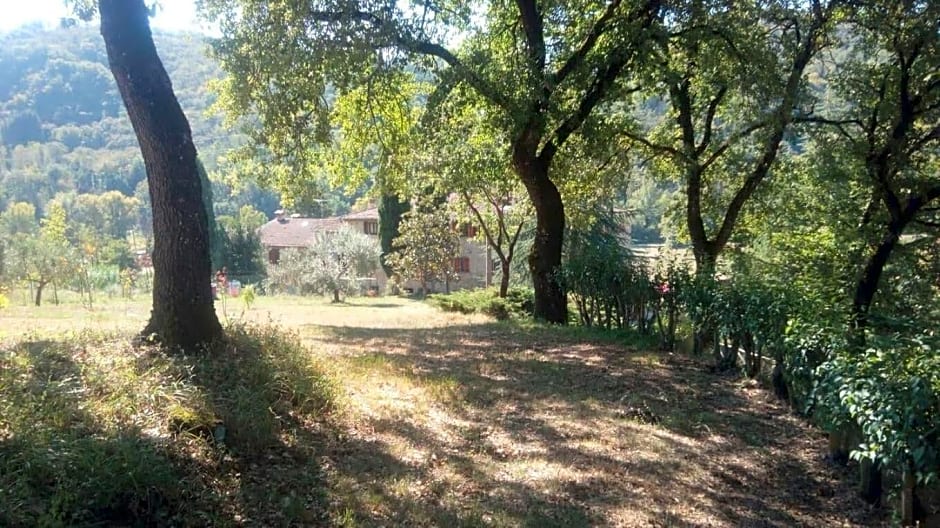 Tana Del Tasso