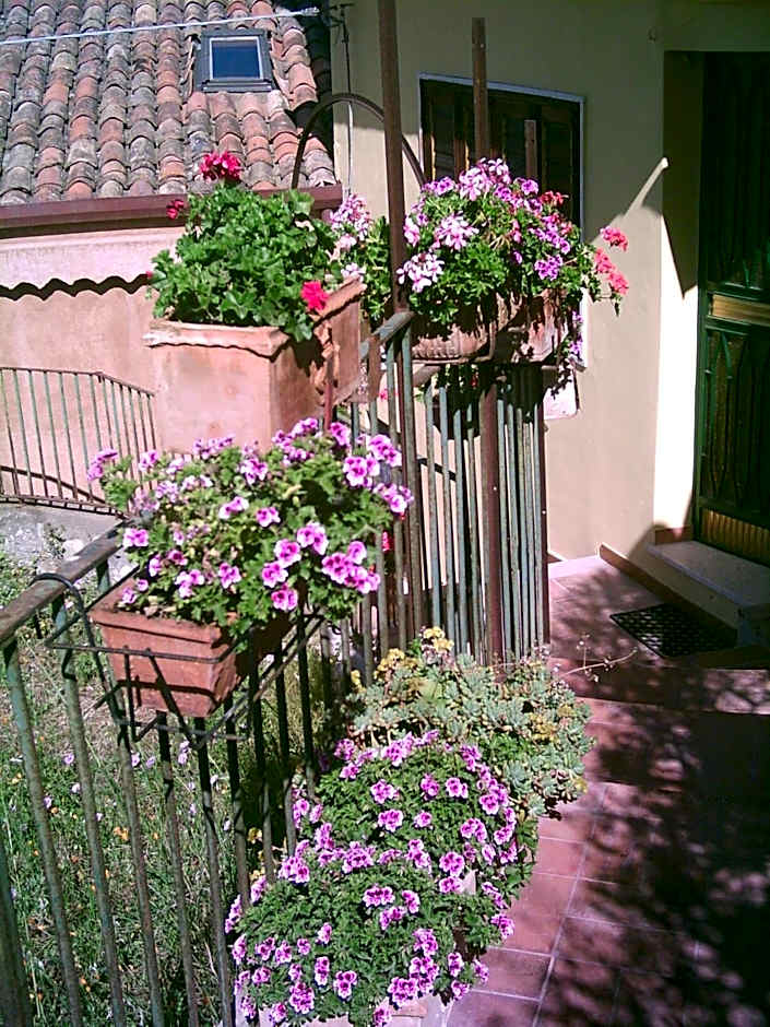 B&B U Palmentu