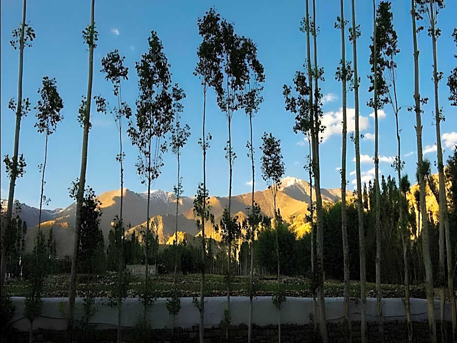 The Deskit Villa – Leh, PA