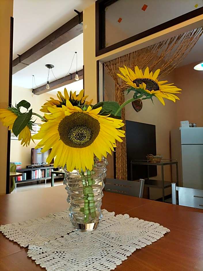 Tettoeletto Garden Bio